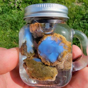 Peut inclure: Un petit bocal en verre avec un couvercle argenté, rempli d'eau et de plusieurs morceaux de pierres bleues et brunes. Le bocal a une poignée et est tenu dans la main d'une personne sur un fond d'herbe verte.