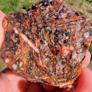 Random Pull Mexican Leopard Skin Rhyolite Rough!