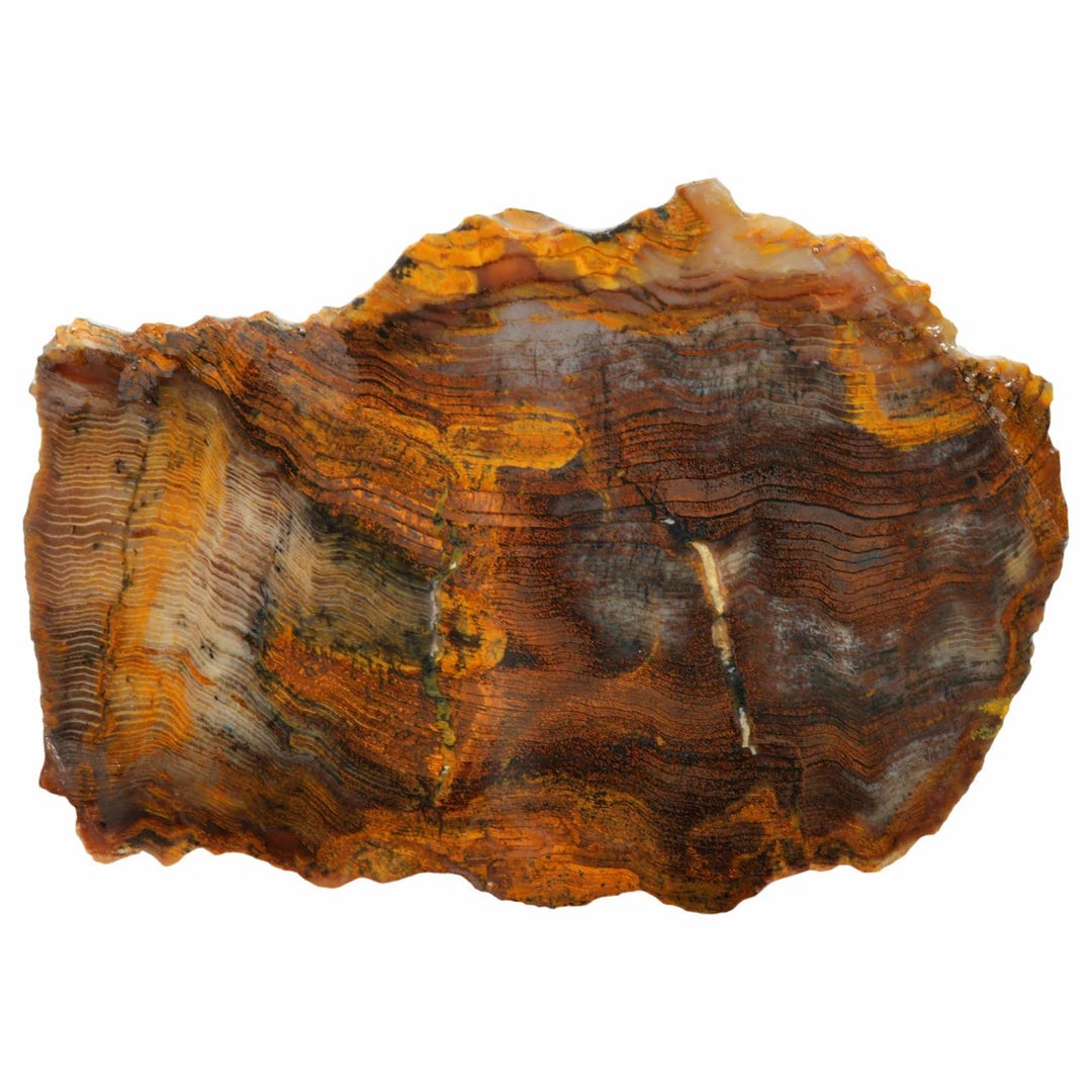 Mystery Petrified Wood Slab - Hematite Herringbone Pattern - Etsy