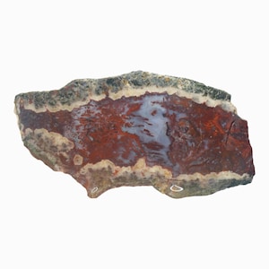 May include: A polished, irregularly shaped stone with a striking pattern. The stone features a rich, reddish-brown center with swirling white and gray inclusions. The edges are bordered by a cream-colored band and a dark gray outer edge.