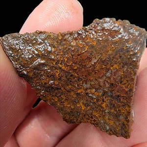 May include: A close-up of a piece of raw, textured rock held in a hand. The rock has a rough, uneven surface with a mix of brown, orange, and gray colors. The texture appears porous and weathered, with a dark background.