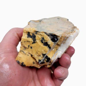 May include: A rough, irregularly shaped piece of yellow and black banded stone. The stone has a white, crystalline texture in some areas.