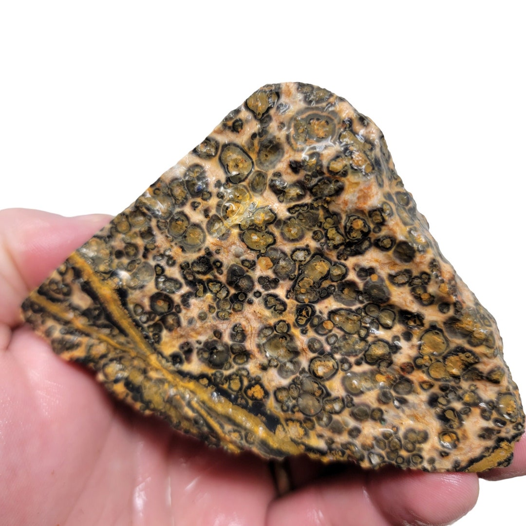 Leopard Skin Rhyolite Rough Chunk Etsy