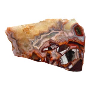 Crazy Lace Agate – Cut Face Banded Rough from Mexico for Lapidary or Display