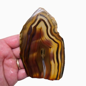 Brazilian Agate Slab Lapidary Stone Slice Cut Rock