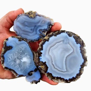 May include: Three agate slices with a blue and white banded pattern and a dark brown outer edge.