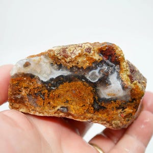 San Carlos Agate Rough - Multi-Side Red and Golden Moss Cutter