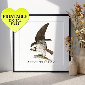 May include: A printable digital art print featuring a vintage illustration of an osprey with a fish in its talons. The print has a black frame and the text "Seize the Day." below the image.