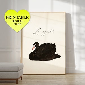 le cygne ~ black swan ~ printable wall art | classical moody dark neutral swan lake bird vintage french illustration altered artwork