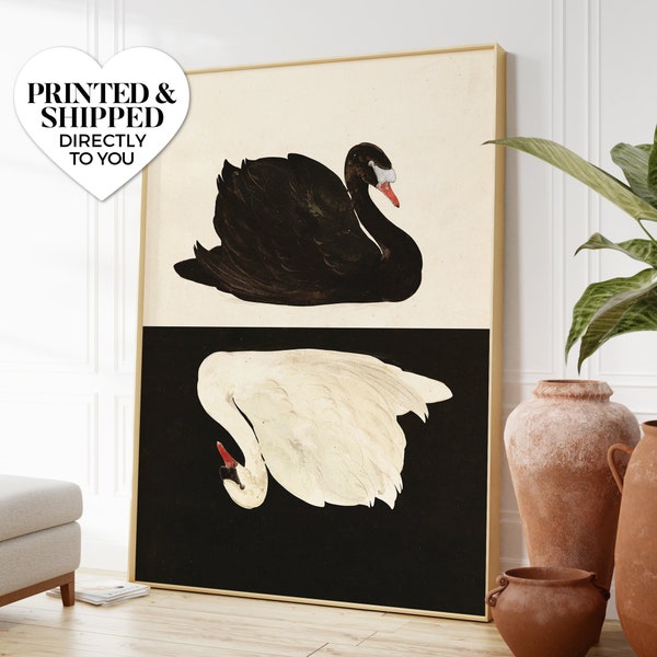 le cygne (pas de deux) ~ wall art matte print | classical moody dark white black swan lake bird vintage french illustration altered artwork