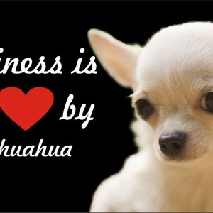 Chihuahua personalized Novelty front license plate custom car tag any dog or cat breed