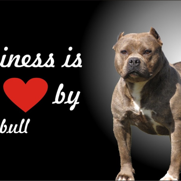 Pitbull Car Plate Etsy