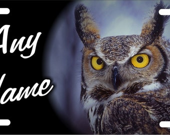 Placa de matrícula delantera personalizada con diseño de búho, letrero decorativo de aluminio personalizado para coche