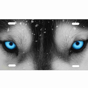 May include: License plate featuring a close-up of a husky's face, showcasing striking blue eyes. The image is predominantly black, white, and gray, with the bright blue eyes providing a focal point. Snow-like details add texture.