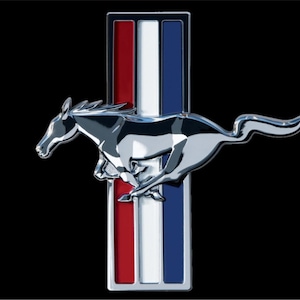 personalized license plate custom car tag Mustang logo printed on black (printed image NOT 3D)