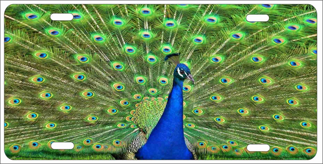 Peacock Personalized Novelty Front License Plate Decorative Custom