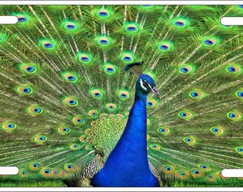 Peacock personalized novelty Front license plate Decorative custom aluminum sign car tag