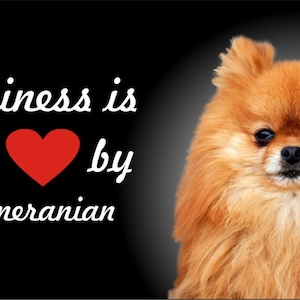 Pomeranian personalized novelty license plate custom decorative car tag any dog or cat breed