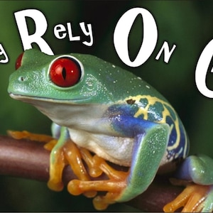 FROG Fully Rely On God personalized novelty front license plate Decorative Vanity car tag