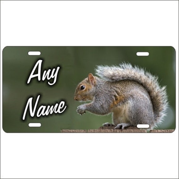 Squirrel Personalized Novelty Front License Plate Decorative Etsy