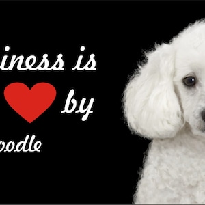 white poodle personalized novelty license plate custom decorative car tag any dog or cat breed