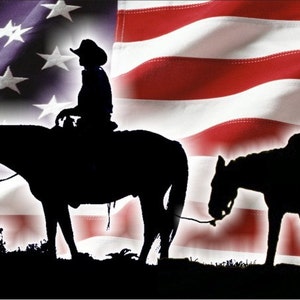 May include: Silhouette of a cowboy riding a horse with a second horse trailing behind, set against a backdrop of an American flag.