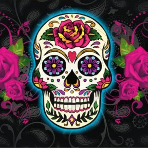 Sugar skull personalized novelty front front license plate custom decorative car tag