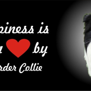 May include: Black and white Border Collie dog with a red heart and the text "Happiness is being by a Border Collie" on a black background.
