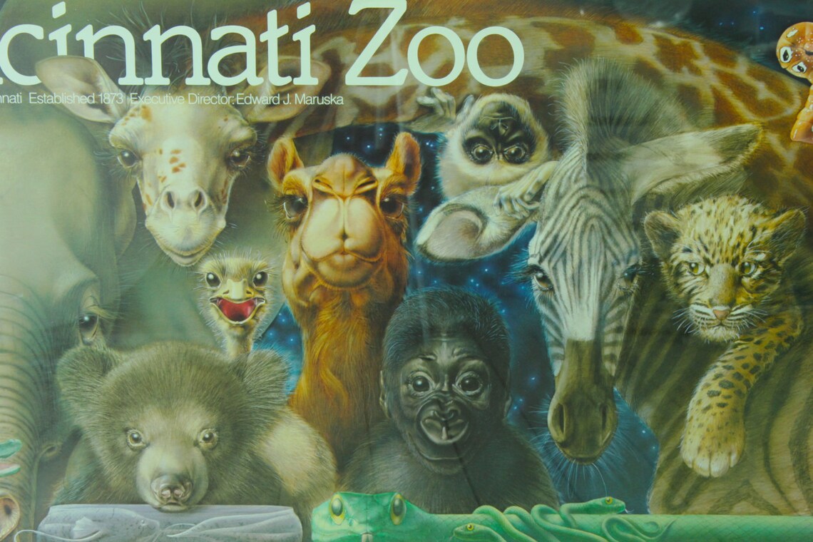 Vintage Cincinnati Zoo Lil Babies Framed Poster Print Wall Art Etsy