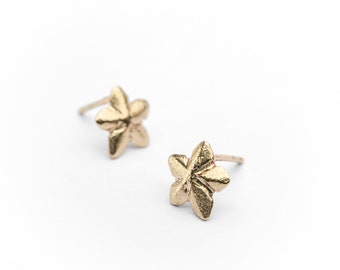 Unique 14K Yellow Gold Starfish Stud Earrings, Gold Star Earrings, Minimalist Gold Earrings, Gift For her, Fine Jewelry