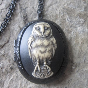 Barn Owl Hand Painted Cameo on a Black Enamel Locket - Owl - Spooky Barn Owl