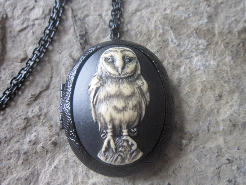 Barn Owl Hand Painted Cameo on a Black Enamel Locket Owl Spooky Barn Owl