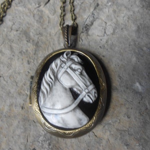 Bronzen paard medaillon (Hand geschilderd Cameo)--prachtig Paard hanger medaillon--2" lange--grote kwaliteit