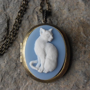 CAMEO LOCKET-- White Cat on Wedgewood Blue Cameo Locket Necklace -  2&quot; long -  Bronze - Antique Look - Great Quality!!