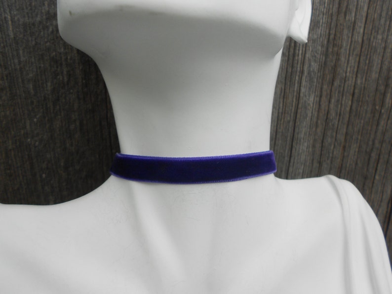 May include: A purple velvet choker necklace. The choker is thin and flat, and it is made of a soft, luxurious velvet.