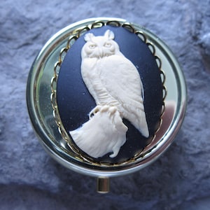 Kies Goud of Zilver - Grote Gehoornde Uil Cameo Pill Box - Medicatie Case - Pill Case - Meds - Medicatie Organisator