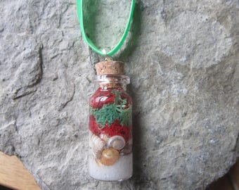 2 in 1 sieraad en ketting - kerst op het strand, echt zand, rendieren Moss en zeeschelpen in glazen fles w / kurk