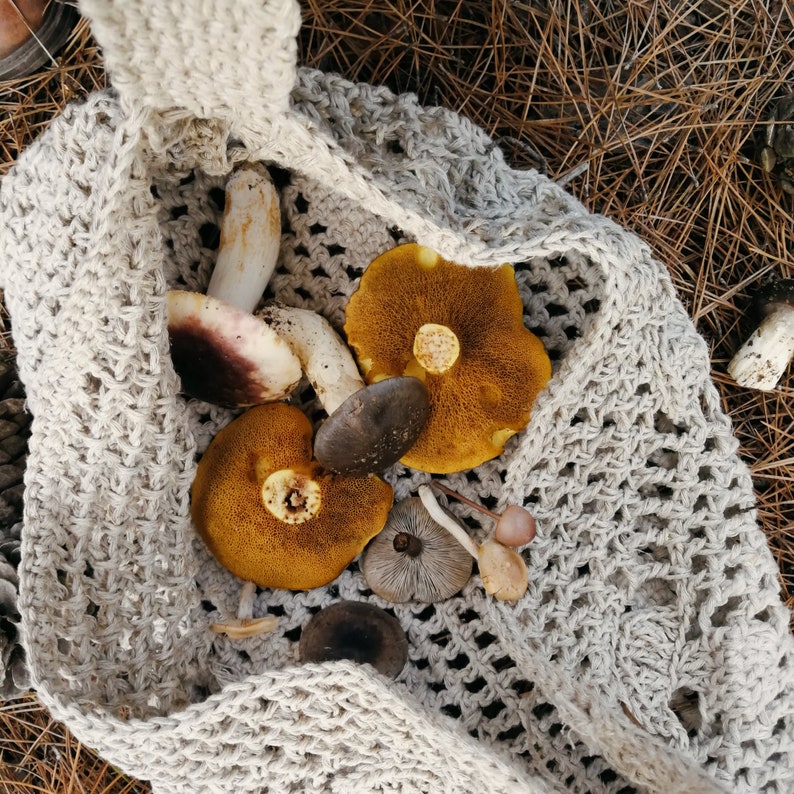 The mushroom bag is sat on the forest floor which is covered in pine needles. A birds eye view of the inside of the bag with some mushrooms inside. There is a range of orange, white and brown coloured mushrooms of all sizes.