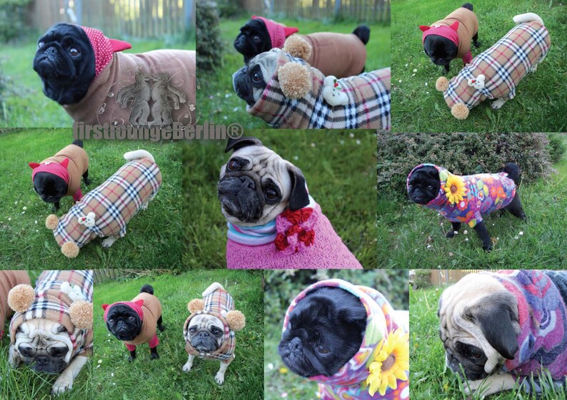 MOPS & CO. Dog sweater sweater with sewing pattern in 10 sizes sewing instructions puppies to strong dog firstloungeberlin image 7