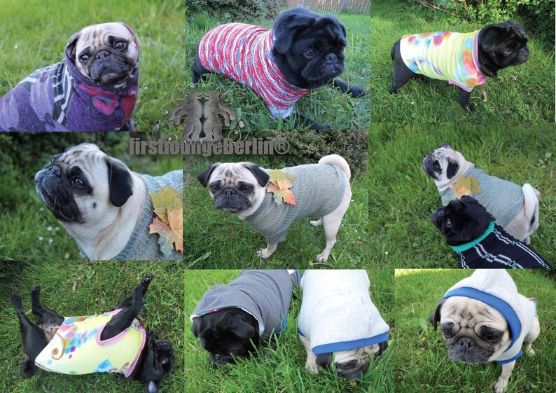 MOPS & CO. Dog sweater sweater with sewing pattern in 10 sizes sewing instructions puppies to strong dog firstloungeberlin image 8