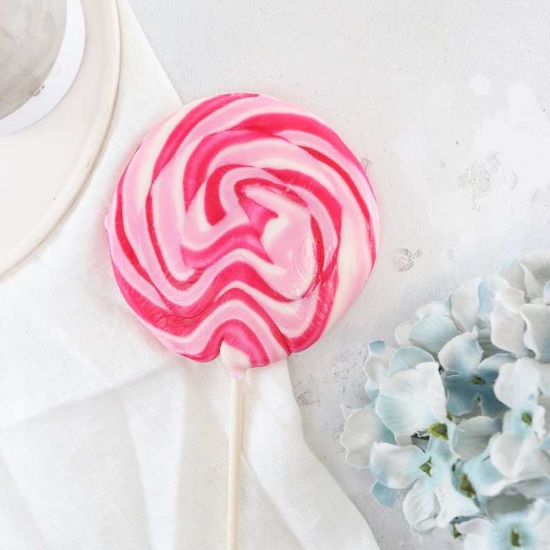 Alcoholic Boozy Raspberry Fizz Lollipop Boozy Bridesmaid Gift Foodie Gift Christmas Gift Alcoholic Lollipop image 2