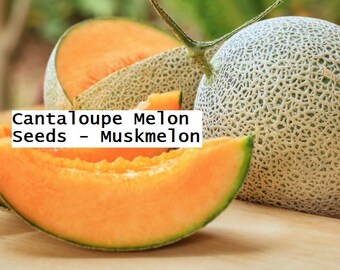 Cantaloupe Melon Seeds - rockmelon, sweet melon, spanspek, orange muskmelon