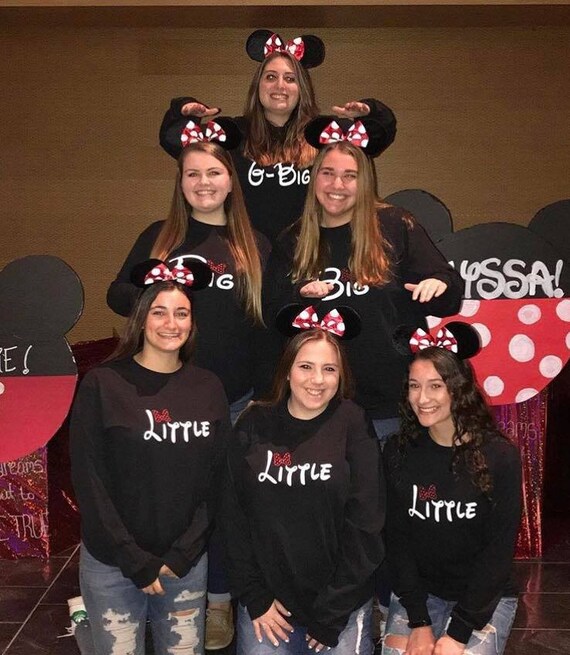 disney big little reveal