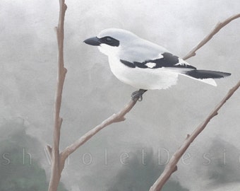 Shrike Bird Art Print: Snowy Branch, Neutral Gray Winter Landscape