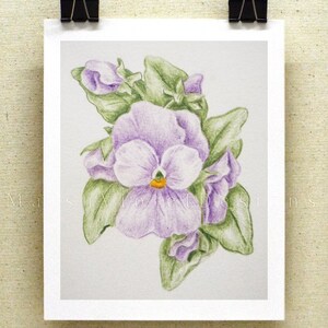 Purple Pansy Watercolor Print: Floral Wall Art (8x10)