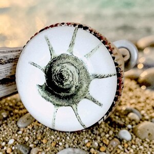 May include: A circular ring featuring a white background with a detailed, dark green illustration of a spiky sea shell at its center. The ring has a metallic, textured edge and a smooth, rounded band visible on the right side of the setting.