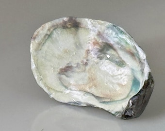 Pair of 2 Oysters - Handpainted Single Lady Oyster Knobs