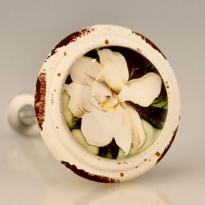 May include: A white and brown distressed cabinet knob with a floral design. The knob features a clear glass dome over a white flower with green leaves against a dark background. The knob's edges have a distressed, rustic appearance.