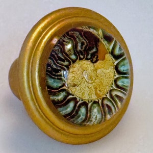 May include: A gold-colored cabinet knob with a fossil design. The knob has a round shape with a detailed fossil pattern in shades of yellow, brown, and teal. The knob's base is a solid gold color.