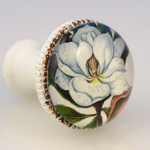 May include: A white ceramic cabinet knob with a floral design. The knob features a detailed illustration of a white magnolia flower with green leaves and brown accents. The knob has a white base and a decorative, textured rim.